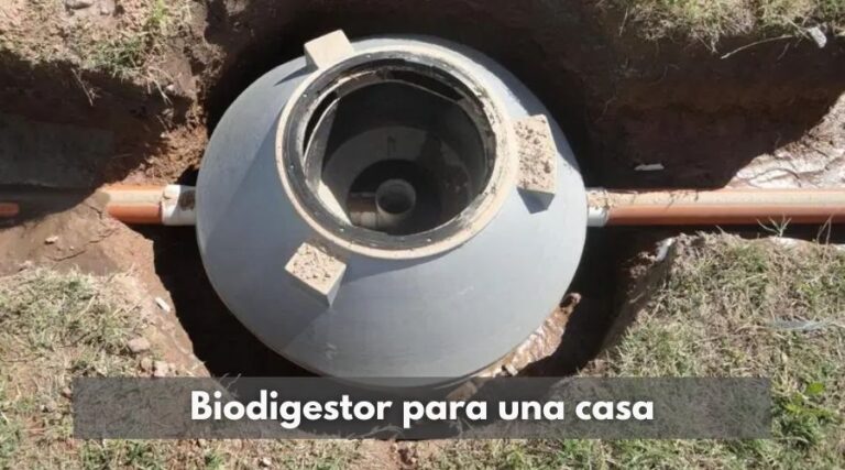 BIODIGESTOR Que Es Y Como Funciona